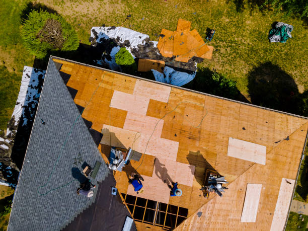 Best Flat Roof Repair Services  in Laurel, DE
